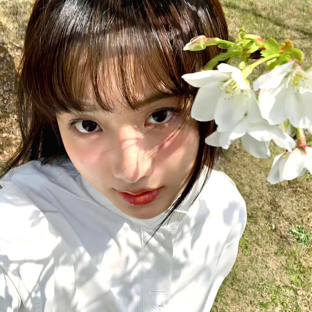 菊花村的那些事