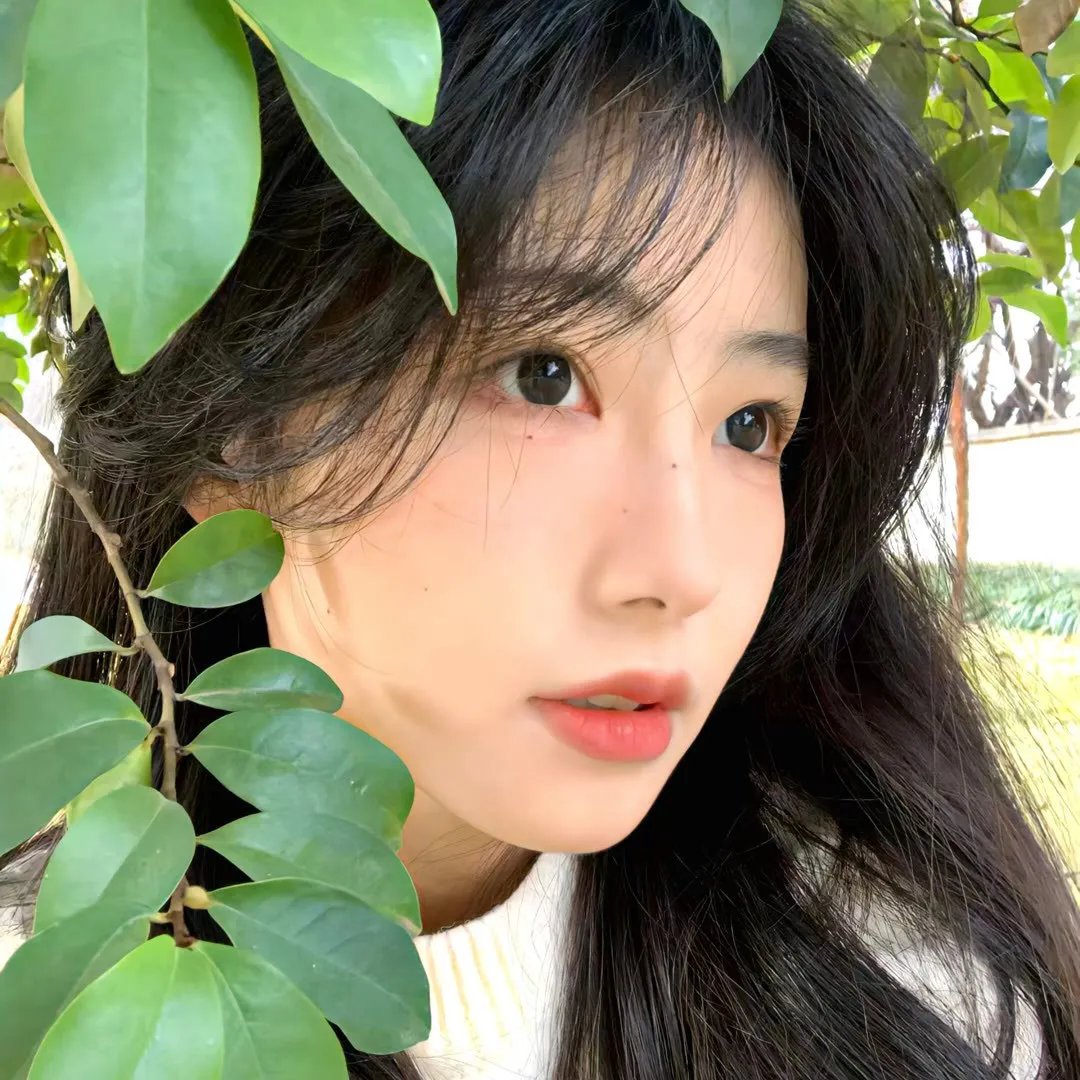 感伤的宿命